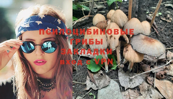 Альфа ПВП Богданович