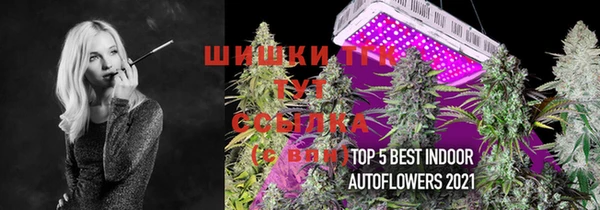 Альфа ПВП Богданович