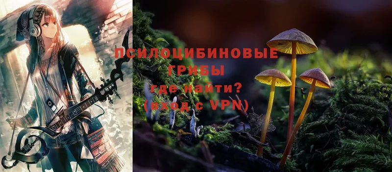 закладки  Вельск  МЕГА маркетплейс  Галлюциногенные грибы Magic Shrooms 